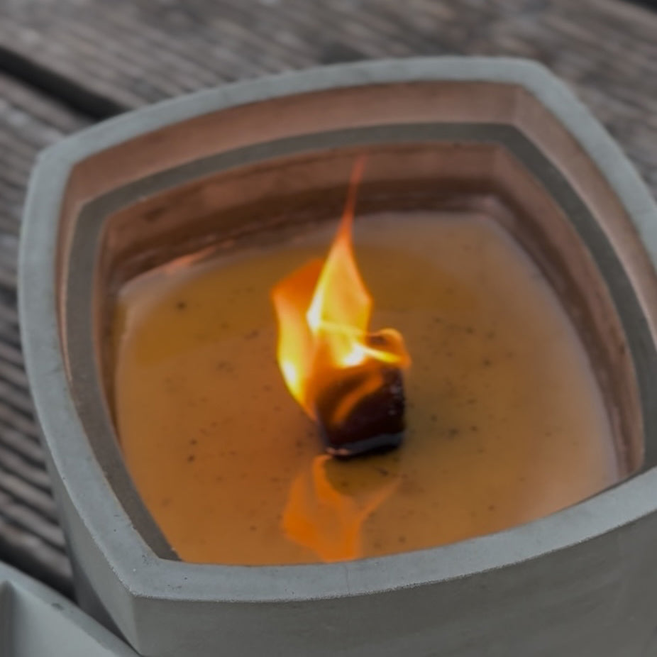 Wachsfresser NORDLICHT Dauerfeuer Closeup
